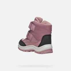 FLANFIL ABX BIMBA