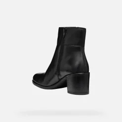 NEW ASHEEL DONNA
