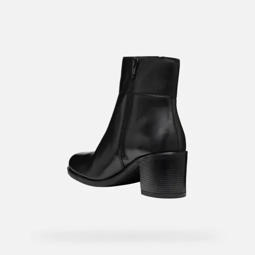 NEW ASHEEL DONNA